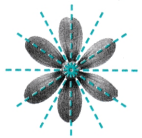 Symmetry Class 6 Solutions Question Answer 1