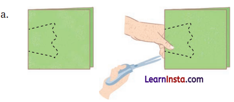 Symmetry Class 6 Solutions Question Answer 13