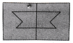 Symmetry Class 6 Solutions Question Answer 16
