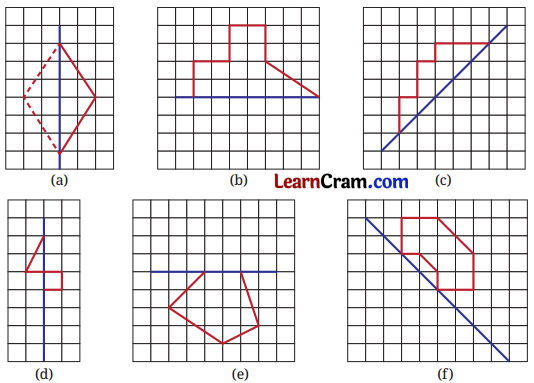 Symmetry Class 6 Solutions Question Answer 25