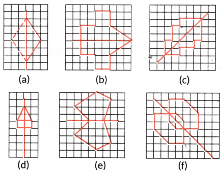 Symmetry Class 6 Solutions Question Answer 26