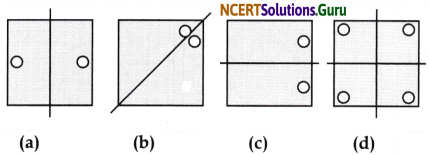 Symmetry Class 6 Solutions Question Answer Page 223 Q1.2
