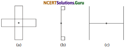 Symmetry Class 6 Solutions Question Answer Page 235 Q1