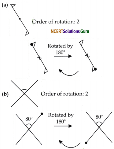 Symmetry Class 6 Solutions Question Answer Page 235 Q3.1