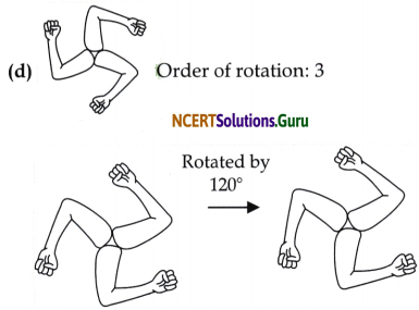 Symmetry Class 6 Solutions Question Answer Page 235 Q3.3