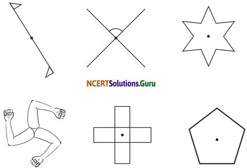 Symmetry Class 6 Solutions Question Answer Page 235 Q3