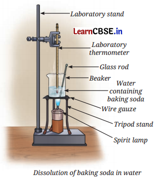 The Amazing World of Solutes, Solvents, and Solutions Class 8 Questions and Answers Science Chapter 9 Activity Q2