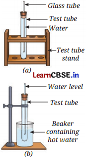 The Amazing World of Solutes, Solvents, and Solutions Class 8 Questions and Answers Science Chapter 9 Q12