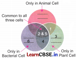The Invisible Living World Beyond Our Naked Eye Class 8 Questions and Answers Science Chapter 2 Q1.1