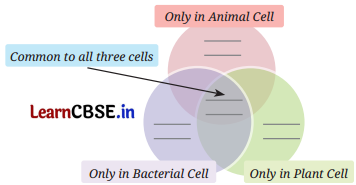 The Invisible Living World Beyond Our Naked Eye Class 8 Questions and Answers Science Chapter 2 Q1