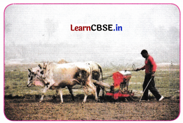 The Invisible Living World Beyond Our Naked Eye Class 8 Questions and Answers Science Chapter 2 Q3