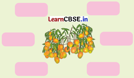 The Mystery of Food Class 5 Question Answer EVS Chapter 3 2