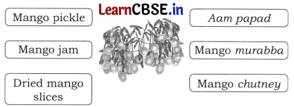 The Mystery of Food Class 5 Question Answer EVS Chapter 3 3
