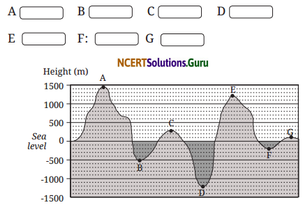 The Other Side of Zero Class 6 Solutions Question Answer Page 261 Q1