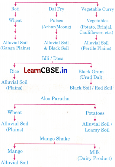 The Story of Indian Farming Class 7 Questions and Answers Social Science Part 2 Chapter 1 2