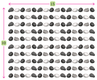 The Transport Museum Class 4 Solutions Question Answer Maths Chapter 13 10