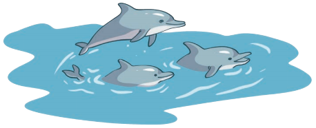 The Transport Museum Class 4 Solutions Question Answer Maths Chapter 13 38