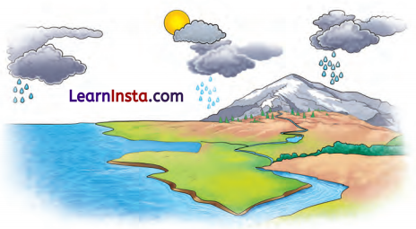 The Wonderful World of Science Class 6 Question Answer Science Chapter 1 5