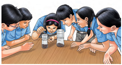 The Wonderful World of Science Class 6 Questions and Answers NCERT Solutions