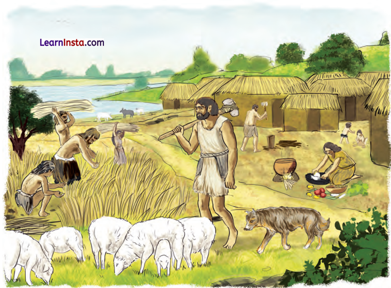 Timeline and Sources of History Class 6 Questions and Answers 6