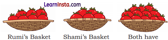 Vegetable Farm Class 1 Question Answer Solutions Maths Chapter 6 1