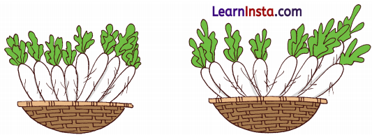 Vegetable Farm Class 1 Question Answer Solutions Maths Chapter 6 3