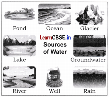 Water The Essence of Life Class 5 Question Answer EVS Chapter 1 2