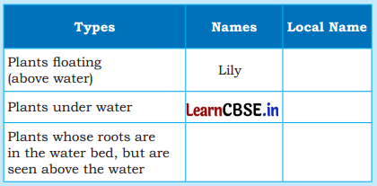 Water The Essence of Life Class 5 Question Answer EVS Chapter 1 20