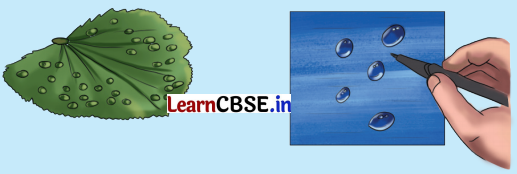 Water The Essence of Life Class 5 Question Answer EVS Chapter 1 21