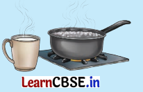 Water The Essence of Life Class 5 Question Answer EVS Chapter 1 4