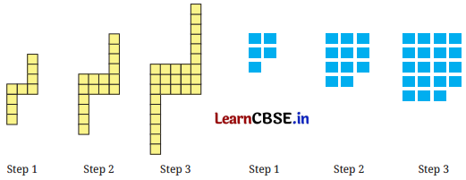 We Distribute, Yet Things Multiply Class 8 Solutions Ganita Prakash Maths Chapter 6 Page 155 Q11
