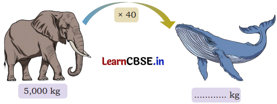 Weight and Capacity Class 5 Solutions Question Answer Maths Chapter 8 16
