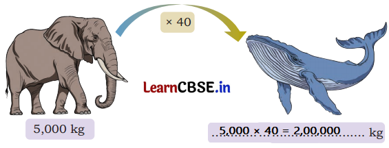 Weight and Capacity Class 5 Solutions Question Answer Maths Chapter 8 17