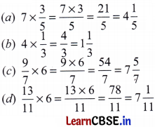 Working with Fractions Class 7 Solutions Ganita Prakash Maths Chapter 8 Page 176 Q5
