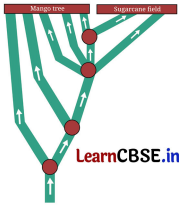 Working with Fractions Class 7 Solutions Ganita Prakash Maths Chapter 8 Page 196 Q11